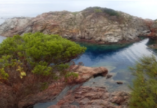 SAGARO 1